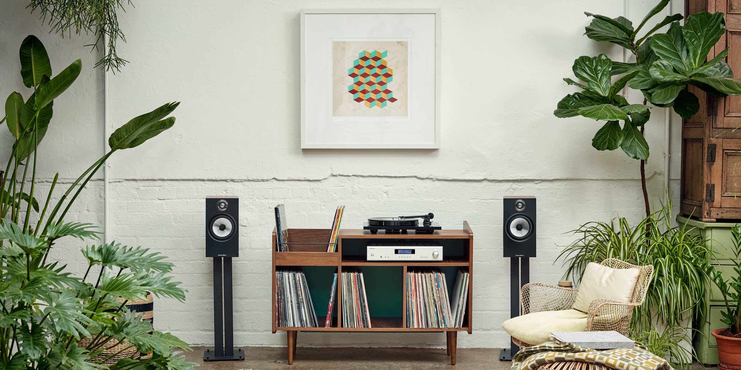 plants, speakers, vinyl