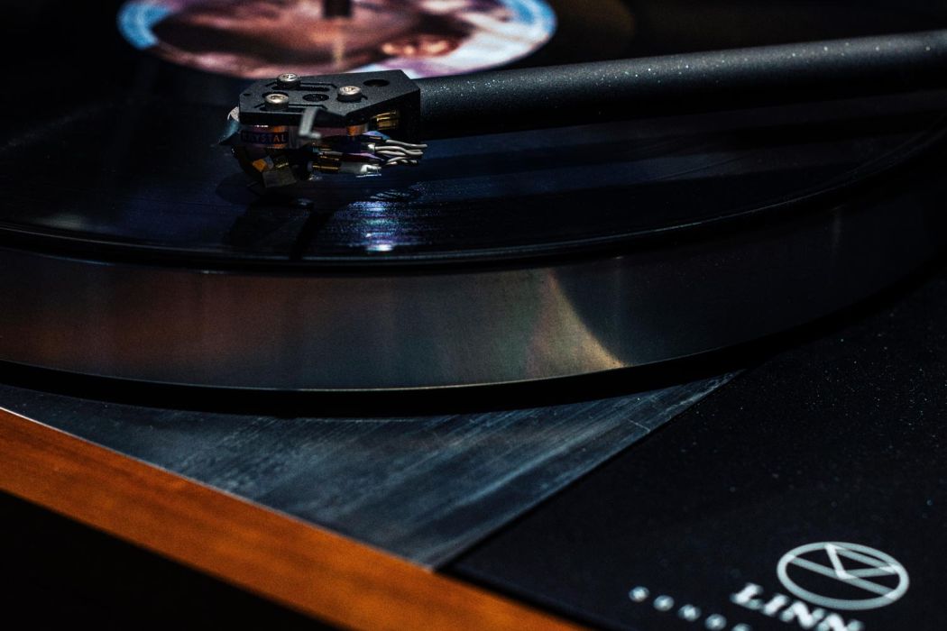 Up close image of Linn