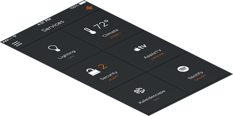 Savant Services Interface